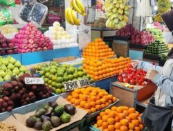 Berkah Jambu Biji Merah di Kios Buah Barokalloh