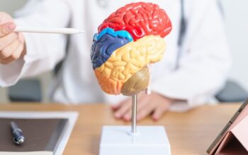 Waspadai Stroke, Penyebab Kematian Tertinggi Di Indonesia: 6 Makanan Ini Justru Bisa Mencegahnya