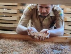 Eks Guru Honorer Di Cianjur Raup Jutaan Rupiah Dari Bisnis Jangkrik Dan Ulat