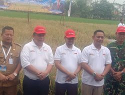 Jaksa Agung dan Menteri Pertanian Pimpin Panen Raya Program Jaksa Mandiri Pangan di Bekasi