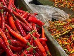 Harga Sembako Jawa Timur November 2025: Cabai Naik, Daging Ayam Kampung Turun