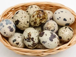 Telur Puyuh: Sumber Nutrisi Rendah Kalori yang Bermanfaat bagi Kesehatan Tubuh