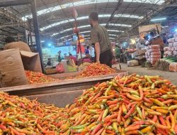 Harga Cabai Rawit Sentuh Rp120.000/kg, Bapanas Ungkap Penyebabnya