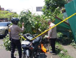 Wisatawan Ojol Tewas Tertimpa Pohon Tumbang di Jalan Kapten A. Rivai