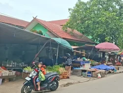 Harga Cabai Rawit Turun di Palangka Raya, Masih Tergolong Tinggi